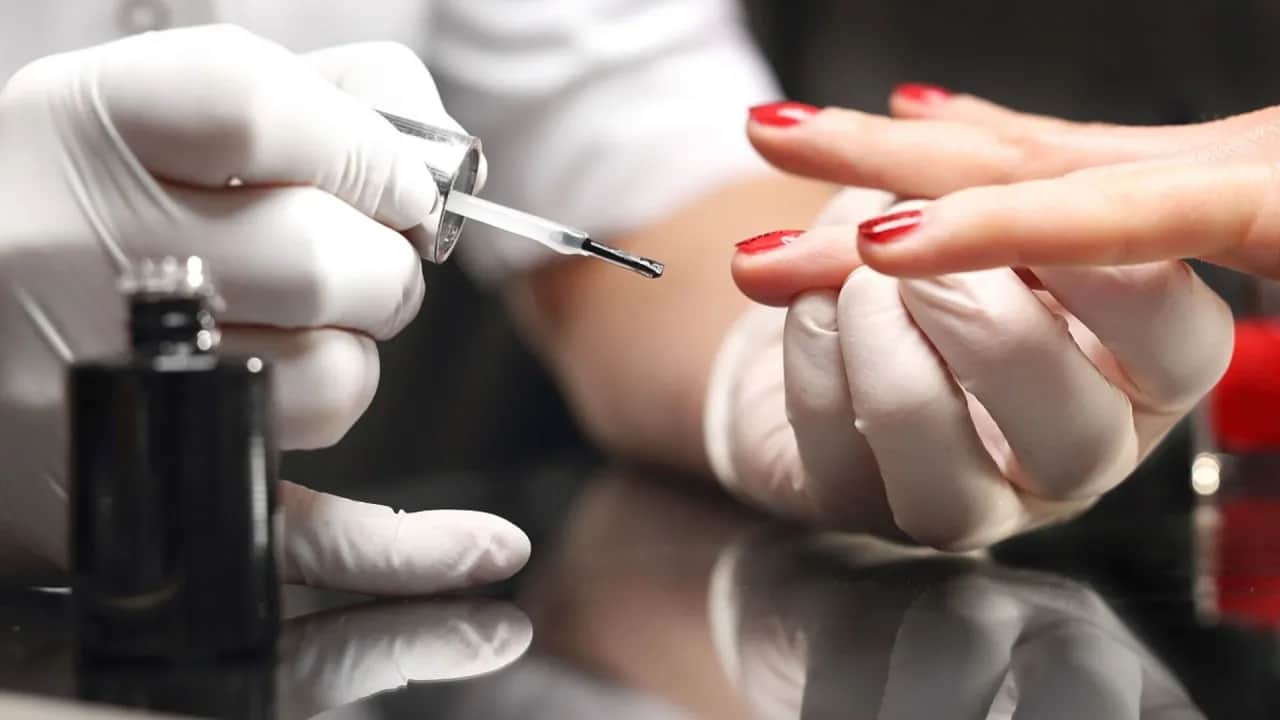 Czy warto kupić hybrydę? Za i przeciw, koszty, alergie decyzja należy do Ciebie!